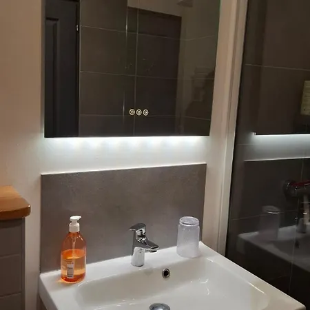 Apartment De Charme, Proche Du Futuroscope *