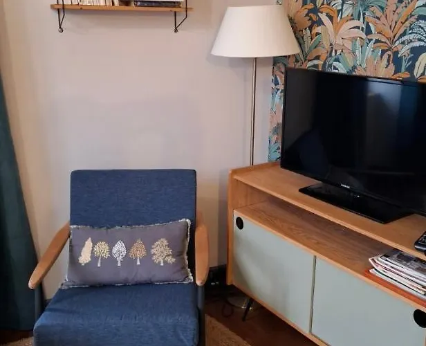 Appartement De Charme, Proche Du Futuroscope