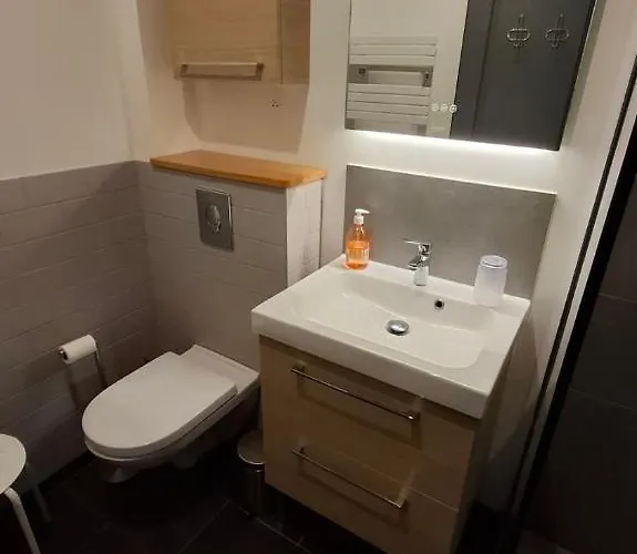 De Charme, Proche Du Futuroscope Appartement Migné-Auxances