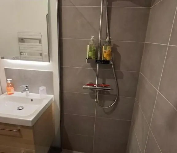 Apartamento De Charme, Proche Du Futuroscope Migné-Auxances